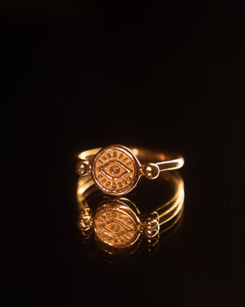 Anel Seye Ouro 18K