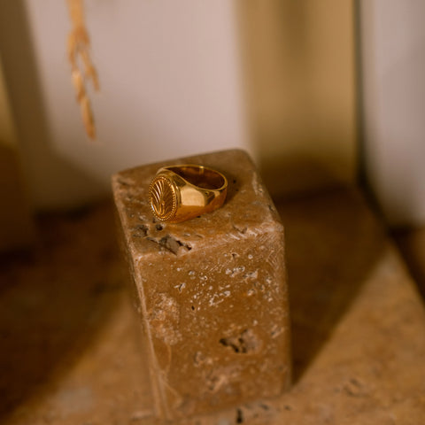 Anel Alma Ouro 18K